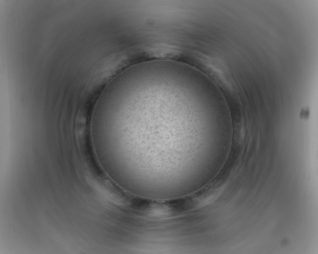 X0000092030263200709201618