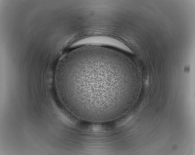 X0000092030264200709201618