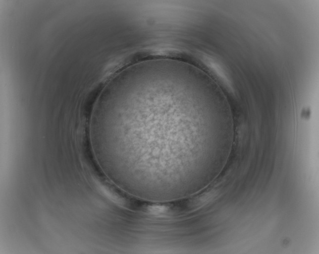 X0000092030265200709201618