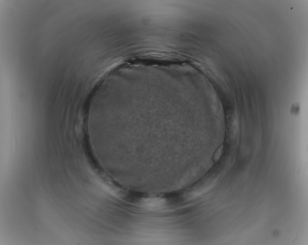 X0000092030266200709201618