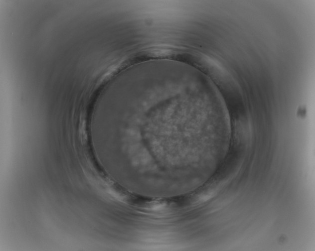 X0000092030267200709201618