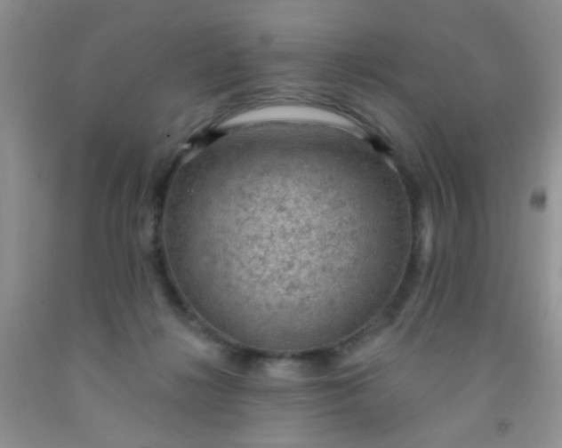 X0000092030268200709201618