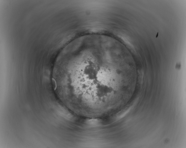 X0000092030269200709201618