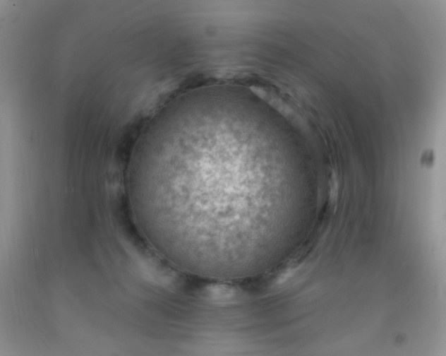 X0000092030272200709201618