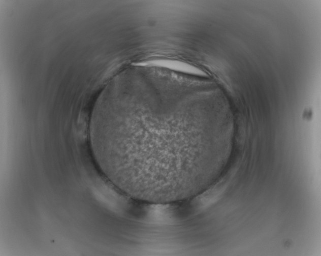 X0000092030273200709201618