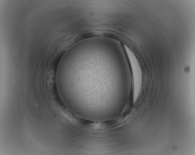 X0000092030275200709201618