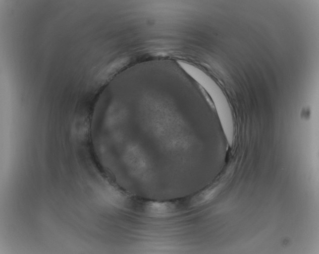 X0000092030277200709201618