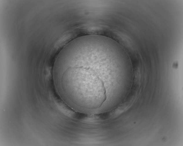 X0000092030278200709201618