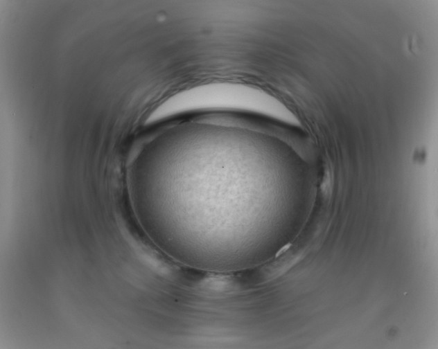 X0000092030280200709201618