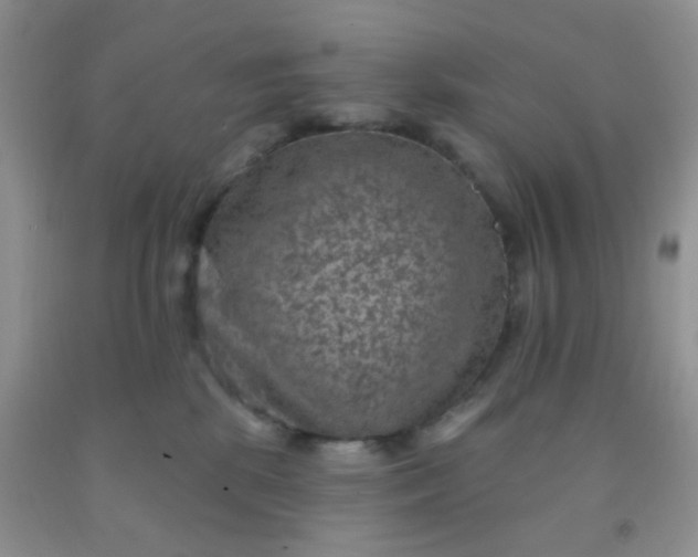 X0000092030281200709201618