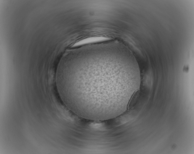 X0000092030283200709201618