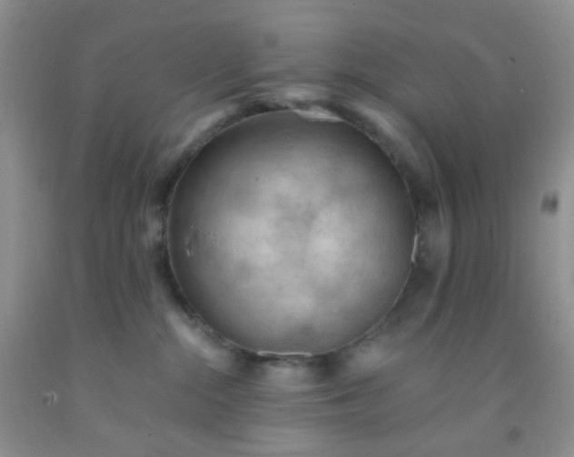 X0000092030284200709201618