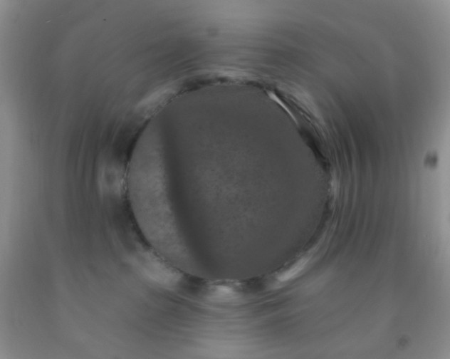 X0000092030285200709201618