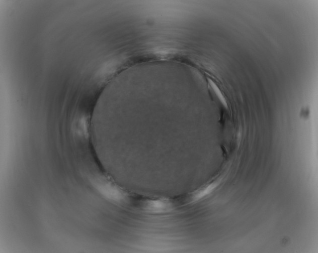 X0000092030286200709201618