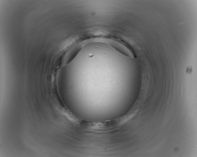 X0000092030288200709201618