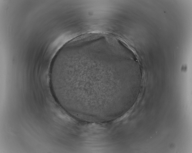 X0000092030290200709201618