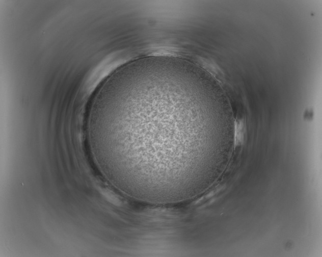 X0000092030291200709201618