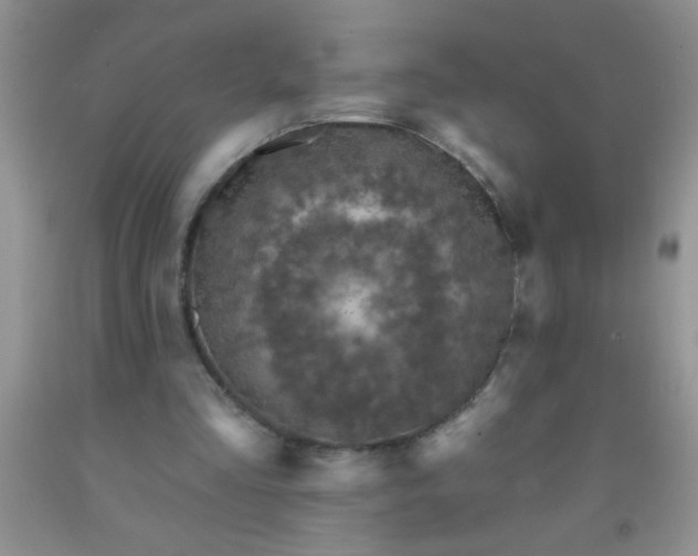 X0000092030293200709201617