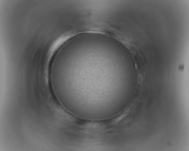 X0000092030294200709201617