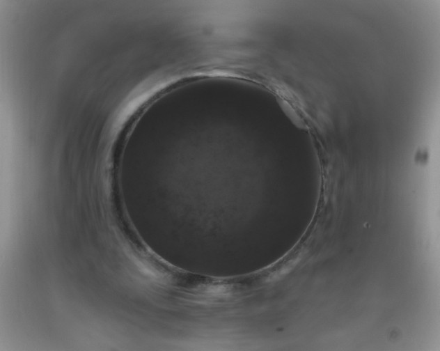 X0000092030295200709201617