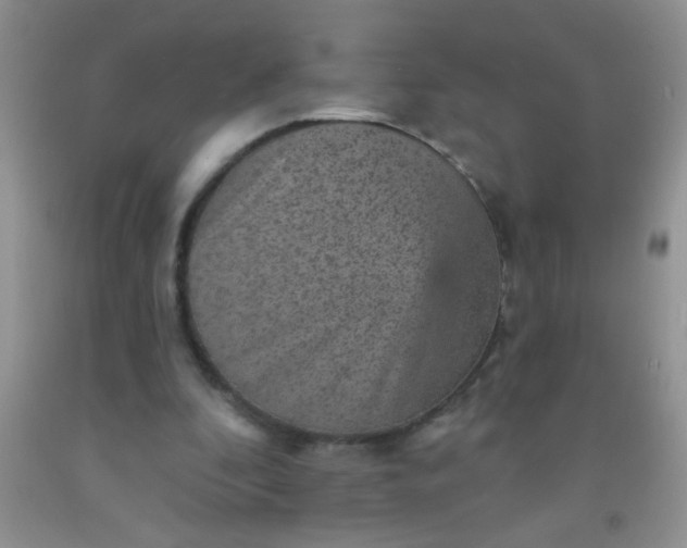 X0000092030296200709201617