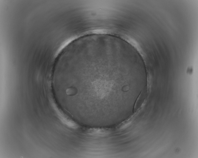 X0000092030297200709201617