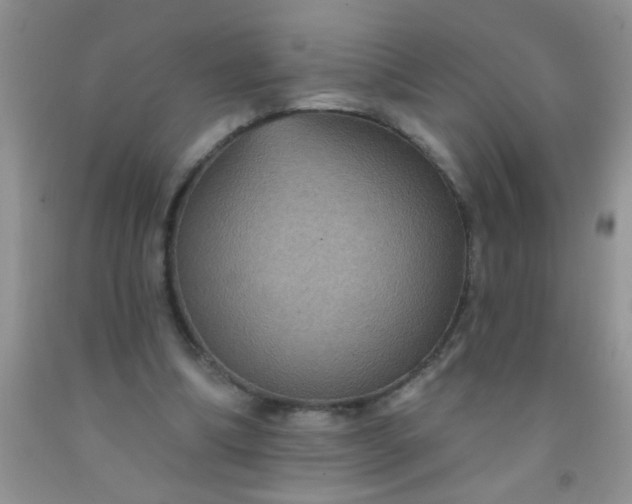 X0000092030298200709201617