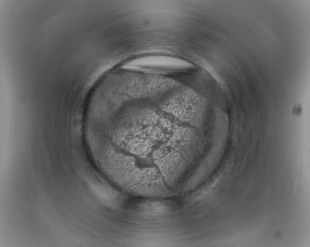 X0000092030299200709201617