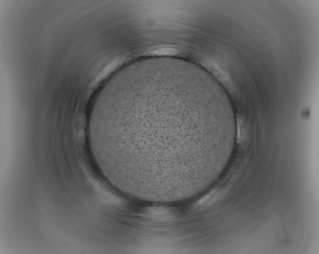 X0000092030300200709201617