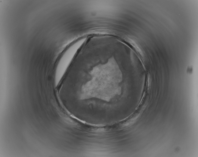 X0000092030301200709201617