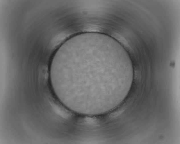 X0000092030302200709201617