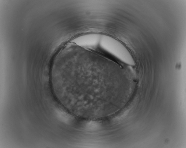 X0000092030303200709201617