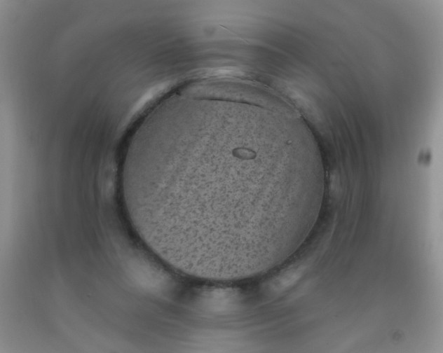 X0000092030304200709201617