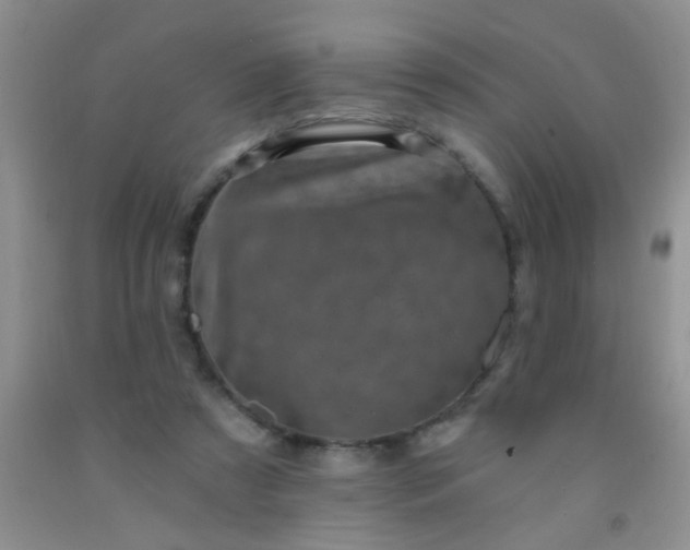 X0000092030305200709201617