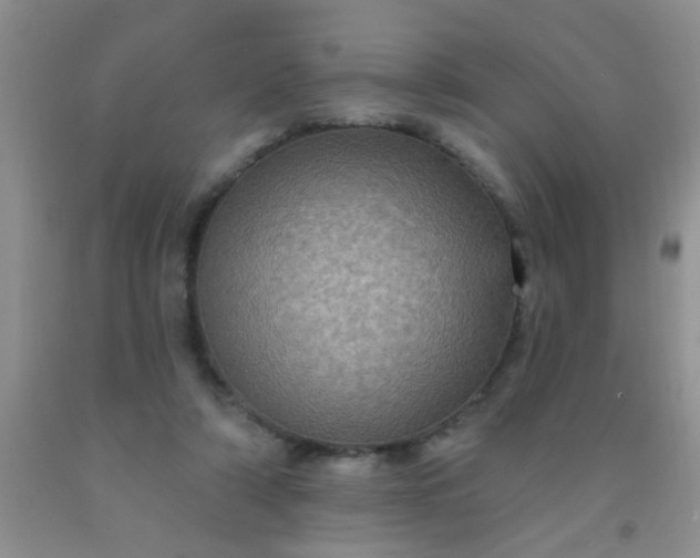 X0000092030306200709201617