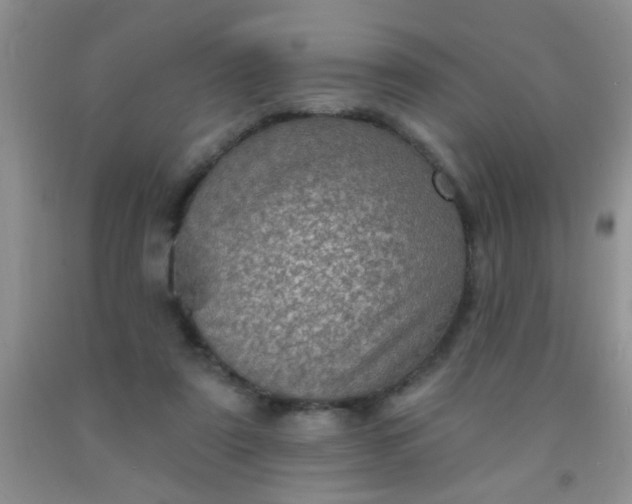 X0000092030307200709201617