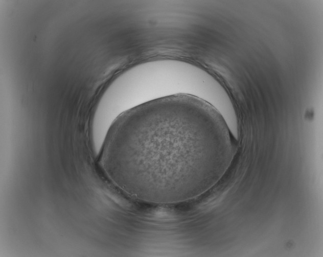 X0000092030308200709201617