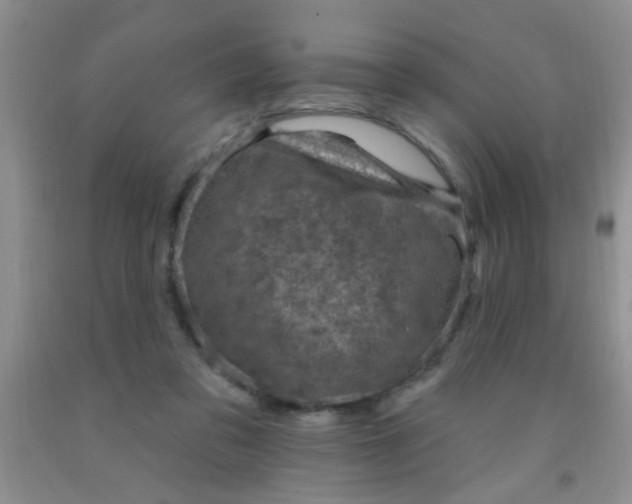 X0000092030309200709201617