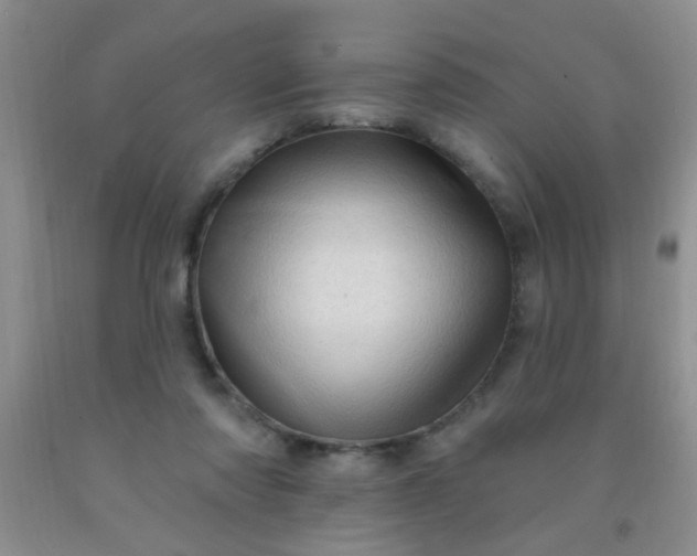 X0000092030310200709201617