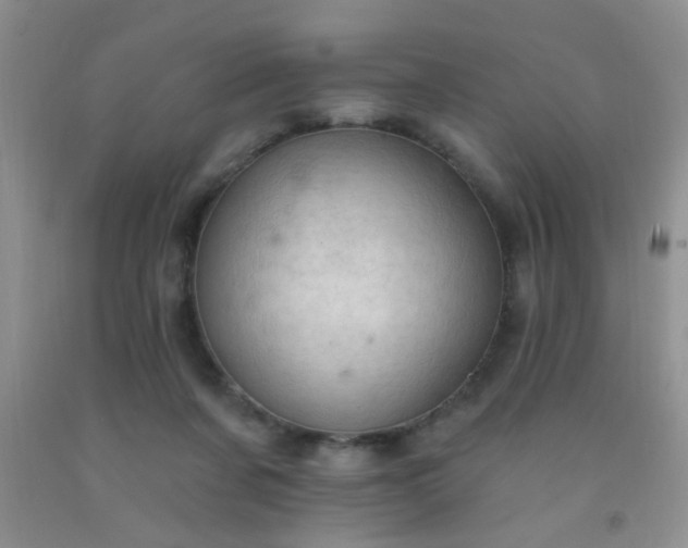 X0000092030311200709201617