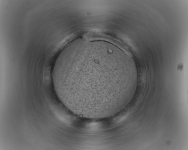 X0000092030312200709201617