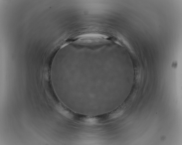 X0000092030313200709201617