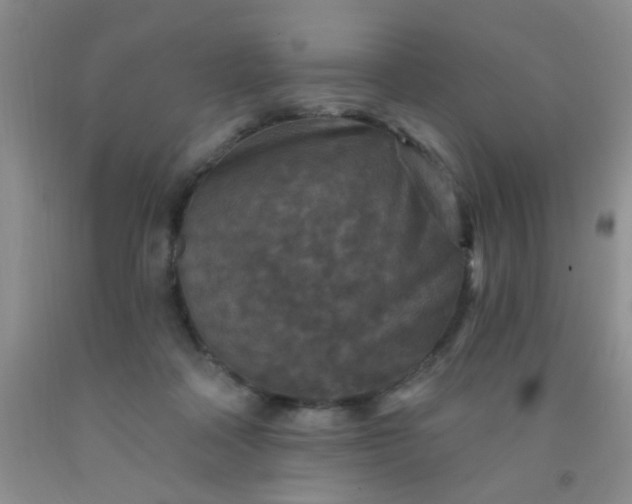 X0000092030314200709201617