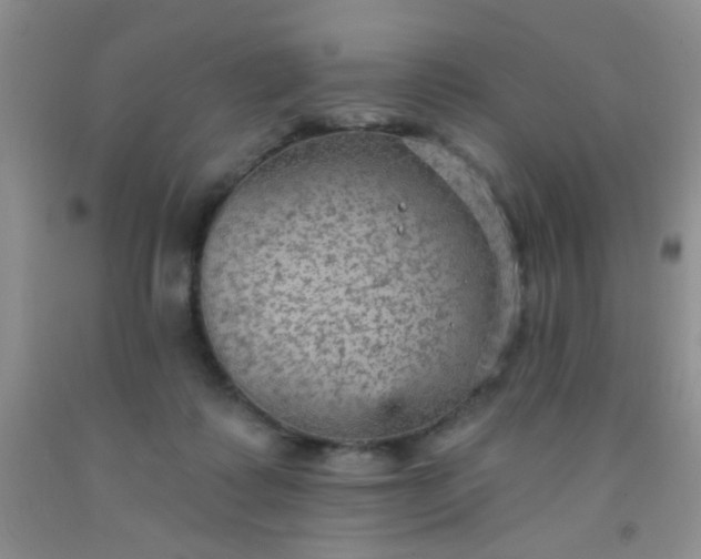 X0000092030315200709201617