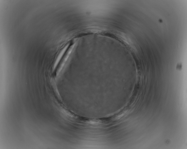 X0000092030317200709201617