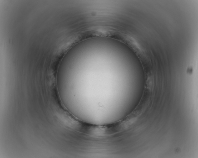 X0000092030318200709201617