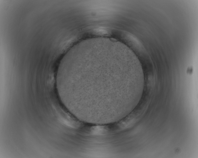 X0000092030320200709201617