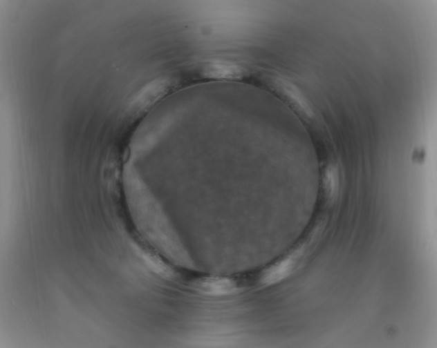 X0000092030322200709201617