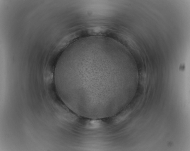 X0000092030324200709201617