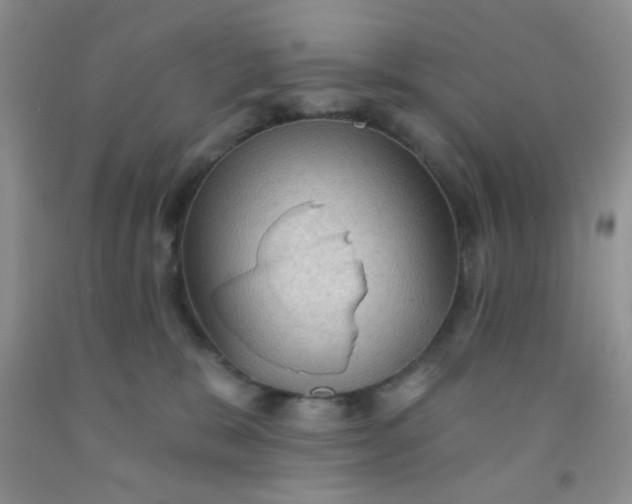 X0000092030327200709201617